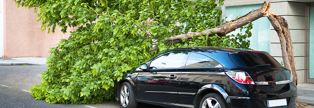 Windstorm Insurance