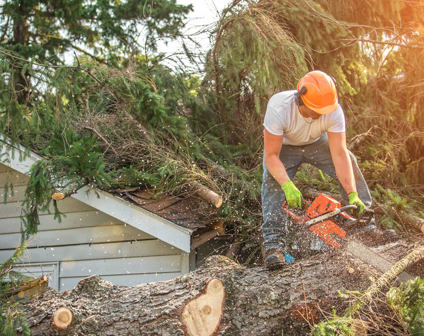 Proper Chainsaw Safety and Operation