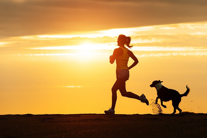 Jogging-Dog