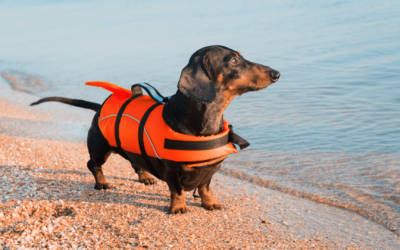 When on the water, Wear a Life Jacket!