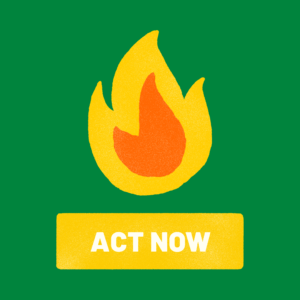 act_now_(1)_optimized