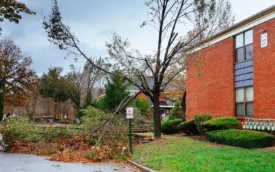 Does Renters Insurance Cover Natural Disasters?