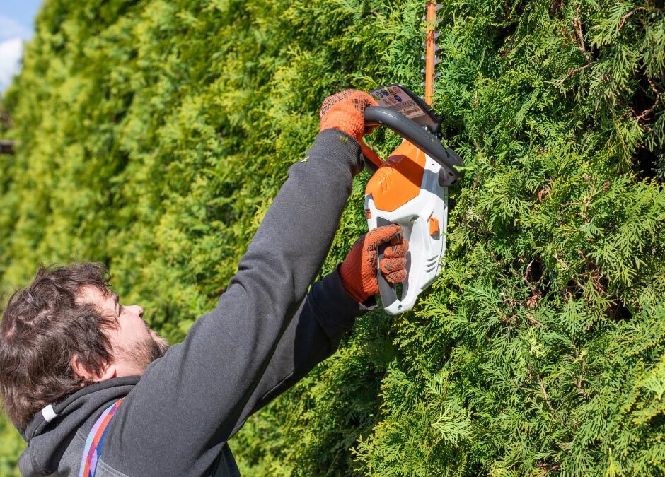 Fall Yard Work Hazards & Home Insurance