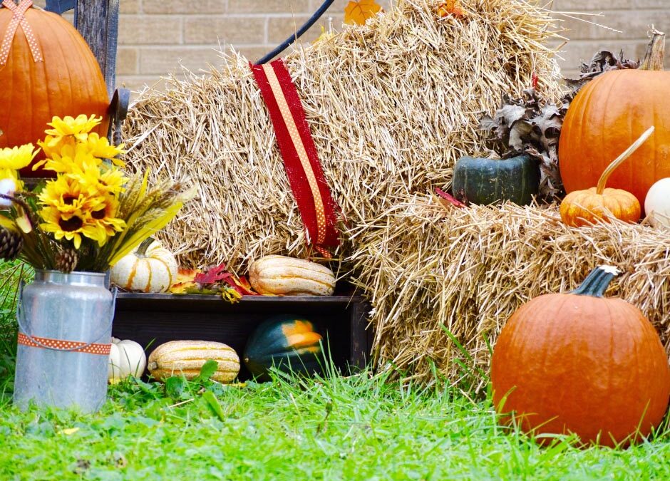 Local Fall Festivals Safety Tips